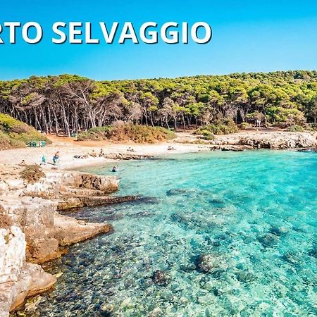 Casa Smeraldo Mare A Sud Di Porto Cesareo Torre Inserraglio 外观 照片